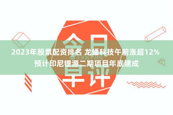 2023年股票配资排名 龙蟠科技午前涨超12% 预计印尼锂源二期项目年底建成