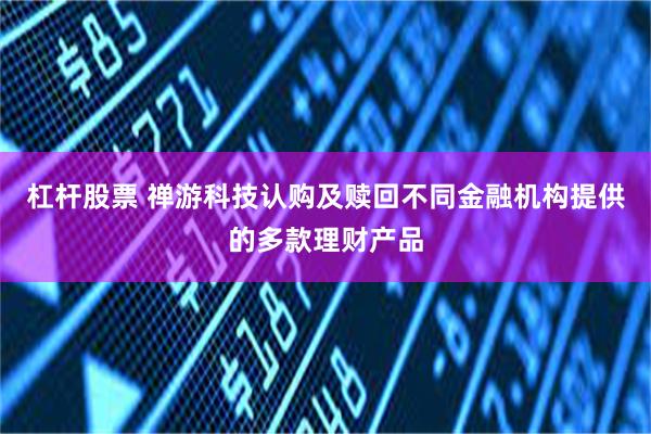 杠杆股票 禅游科技认购及赎回不同金融机构提供的多款理财产品