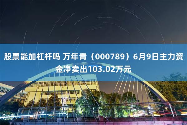 股票能加杠杆吗 万年青（000789）6月9日主力资金净卖出103.02万元