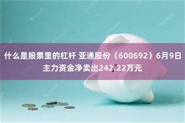 什么是股票里的杠杆 亚通股份（600692）6月9日主力资金净卖出242.22万元