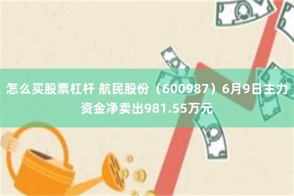 怎么买股票杠杆 航民股份（600987）6月9日主力资金净卖出981.55万元