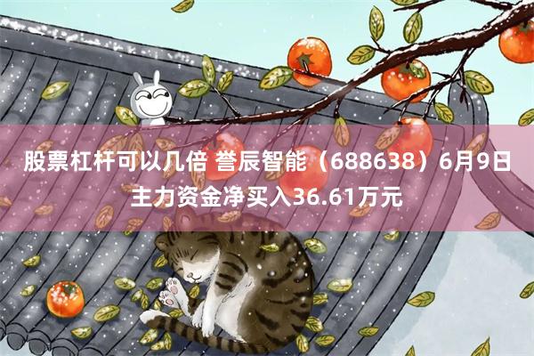 股票杠杆可以几倍 誉辰智能（688638）6月9日主力资金净买入36.61万元