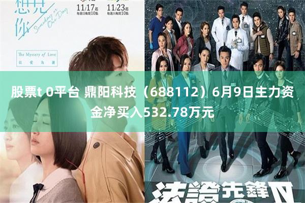 股票t 0平台 鼎阳科技（688112）6月9日主力资金净买入532.78万元