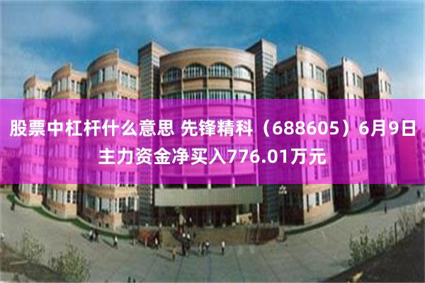 股票中杠杆什么意思 先锋精科（688605）6月9日主力资金净买入776.01万元