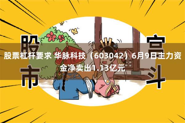 股票杠杆要求 华脉科技（603042）6月9日主力资金净卖出1.13亿元