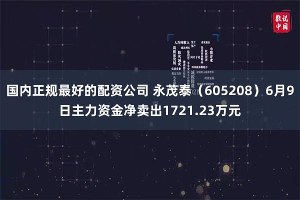 国内正规最好的配资公司 永茂泰（605208）6月9日主力资金净卖出1721.23万元
