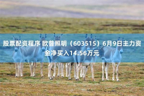 股票配资程序 欧普照明（603515）6月9日主力资金净买入14.56万元