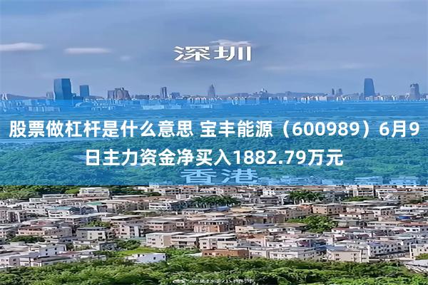 股票做杠杆是什么意思 宝丰能源（600989）6月9日主力资金净买入1882.79万元