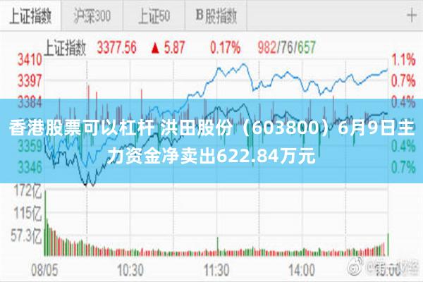 香港股票可以杠杆 洪田股份（603800）6月9日主力资金净卖出622.84万元