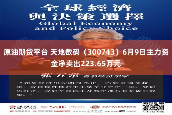 原油期货平台 天地数码（300743）6月9日主力资金净卖出223.65万元