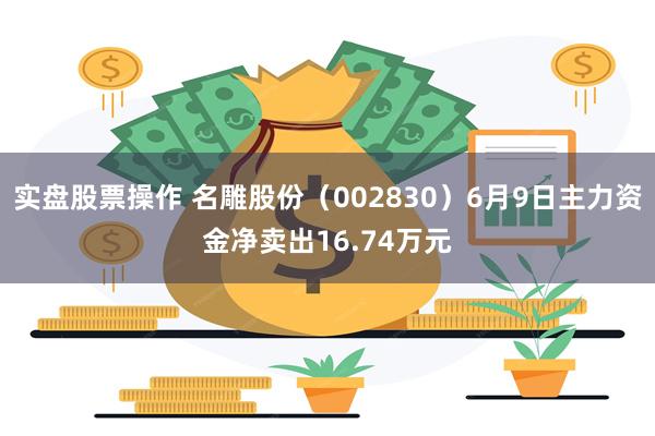 实盘股票操作 名雕股份（002830）6月9日主力资金净卖出16.74万元