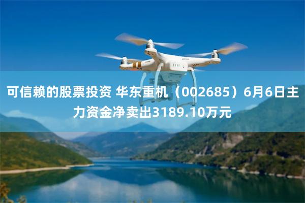 可信赖的股票投资 华东重机（002685）6月6日主力资金净卖出3189.10万元