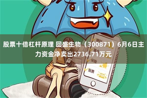 股票十倍杠杆原理 回盛生物（300871）6月6日主力资金净卖出2736.71万元