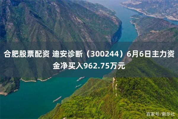 合肥股票配资 迪安诊断（300244）6月6日主力资金净买入962.75万元