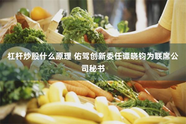杠杆炒股什么原理 佑驾创新委任谭晓钧为联席公司秘书