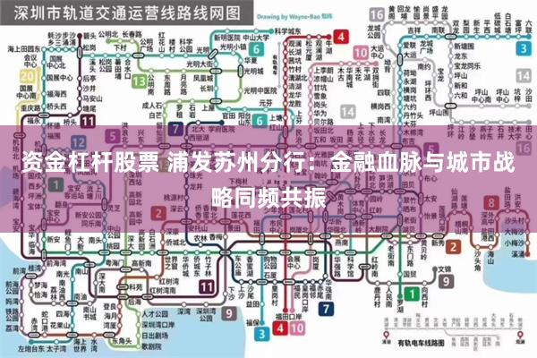 资金杠杆股票 浦发苏州分行：金融血脉与城市战略同频共振