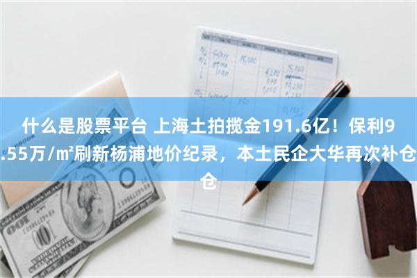 什么是股票平台 上海土拍揽金191.6亿！保利9.55万/㎡刷新杨浦地价纪录，本土民企大华再次补仓
