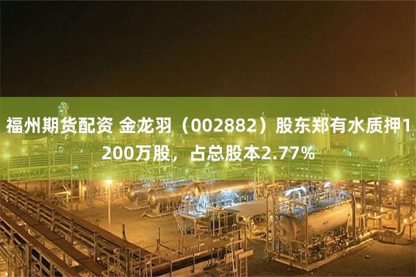 福州期货配资 金龙羽（002882）股东郑有水质押1200万股，占总股本2.77%