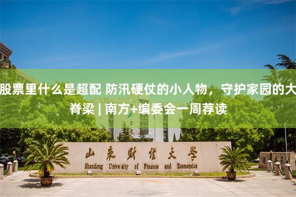 股票里什么是超配 防汛硬仗的小人物，守护家园的大脊梁 | 南方+编委会一周荐读