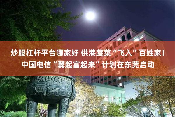 炒股杠杆平台哪家好 供港蔬菜“飞入”百姓家！中国电信“翼起富起来”计划在东莞启动