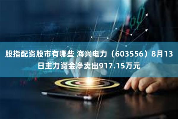 股指配资股市有哪些 海兴电力(603556)8月13日主力资金净卖出917.15万元