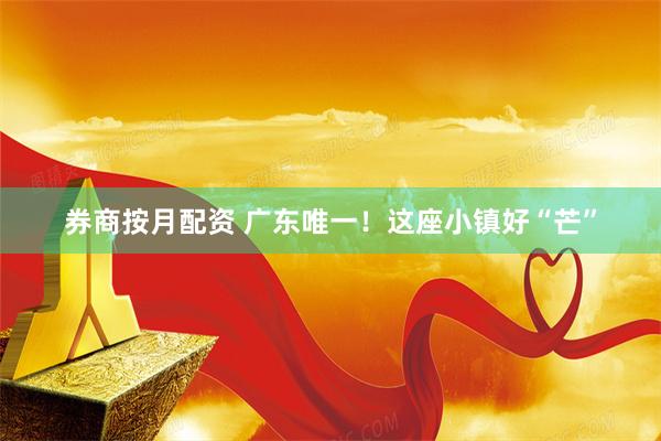 券商按月配资 广东唯一！这座小镇好“芒”