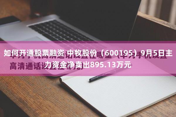 如何开通股票融资 中牧股份（600195）9月5日主力资金净卖出895.13万元