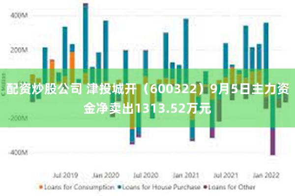 配资炒股公司 津投城开（600322）9月5日主力资金净卖出1313.52万元