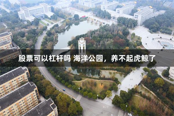 股票可以杠杆吗 海洋公园，养不起虎鲸了