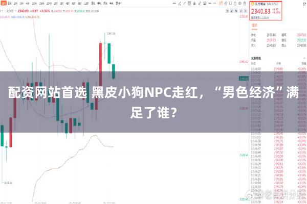 配资网站首选 黑皮小狗NPC走红，“男色经济”满足了谁？