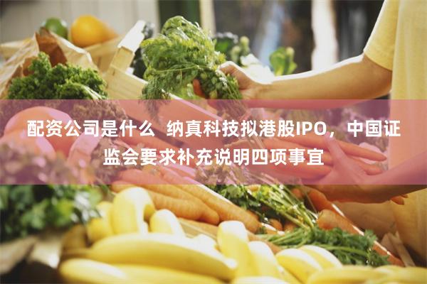 配资公司是什么  纳真科技拟港股IPO，中国证监会要求补充说明四项事宜
