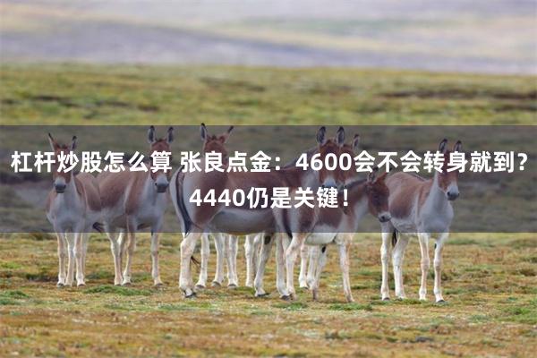 杠杆炒股怎么算 张良点金：4600会不会转身就到？4440仍是关键！