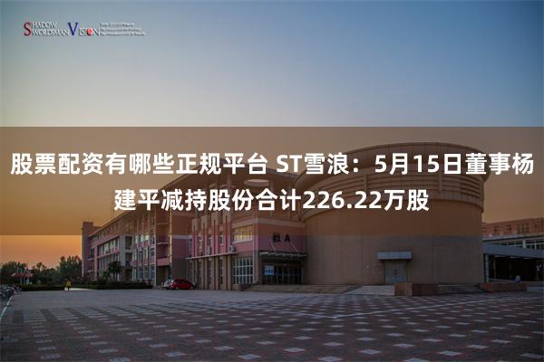 股票配资有哪些正规平台 ST雪浪：5月15日董事杨建平减持股份合计226.22万股