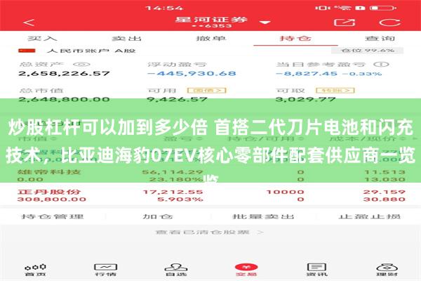 炒股杠杆可以加到多少倍 首搭二代刀片电池和闪充技术，比亚迪海豹07EV核心零部件配套供应商一览