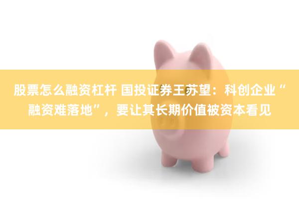 股票怎么融资杠杆 国投证券王苏望：科创企业“融资难落地”，要让其长期价值被资本看见