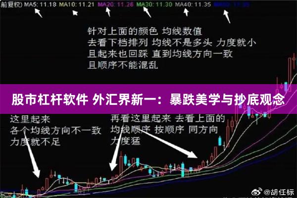 股市杠杆软件 外汇界新一:暴跌美学与抄底观念