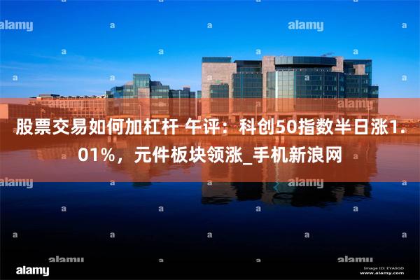 股票交易如何加杠杆 午评：科创50指数半日涨1.01%，元件板块领涨_手机新浪网