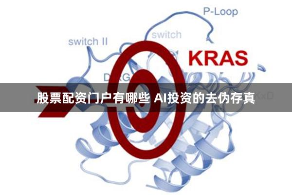 股票配资门户有哪些 AI投资的去伪存真
