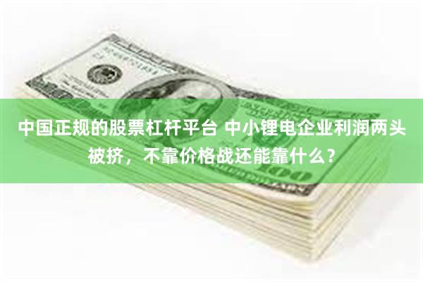 中国正规的股票杠杆平台 中小锂电企业利润两头被挤，不靠价格战还能靠什么？