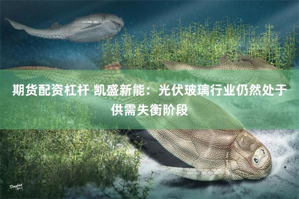 期货配资杠杆 凯盛新能：光伏玻璃行业仍然处于供需失衡阶段