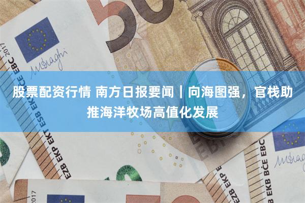 股票配资行情 南方日报要闻｜向海图强，官栈助推海洋牧场高值化发展