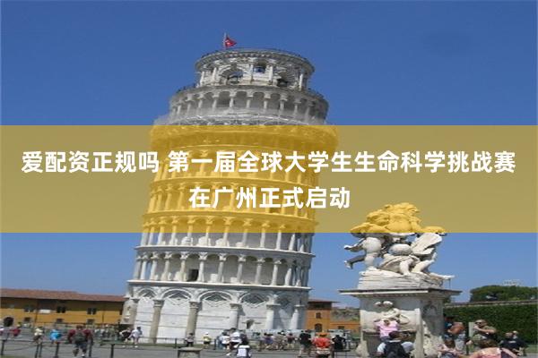 爱配资正规吗 第一届全球大学生生命科学挑战赛在广州正式启动