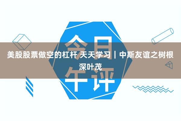 美股股票做空的杠杆 天天学习｜中斯友谊之树根深叶茂