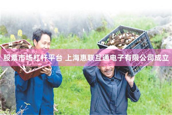 股票市场杠杆平台 上海惠联互通电子有限公司成立