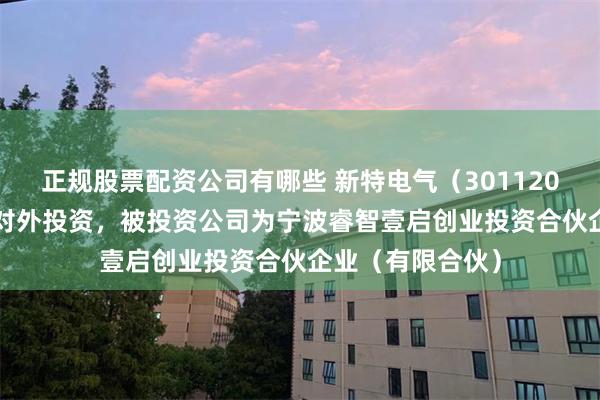 正规股票配资公司有哪些 新特电气(301120.SZ)新增一起对外投资,被投资公司为宁波睿智壹启创业投资合伙企业(有限合伙)