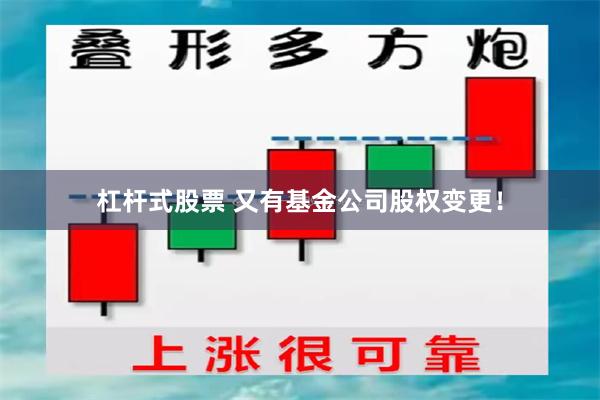 杠杆式股票 又有基金公司股权变更！