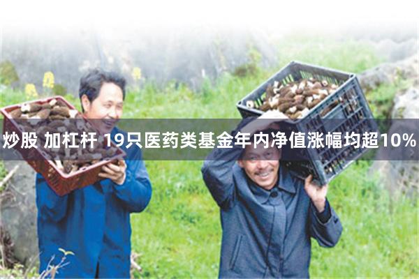 炒股 加杠杆 19只医药类基金年内净值涨幅均超10%